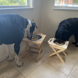 13" tall folding wood single dog bowl stand for extra-large Pets.